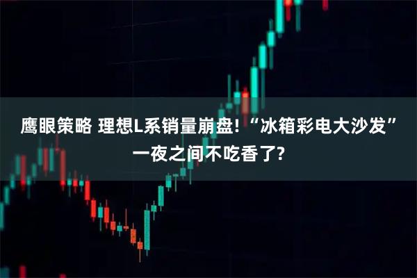 鹰眼策略 理想L系销量崩盘! “冰箱彩电大沙发”一夜之间不吃香了?